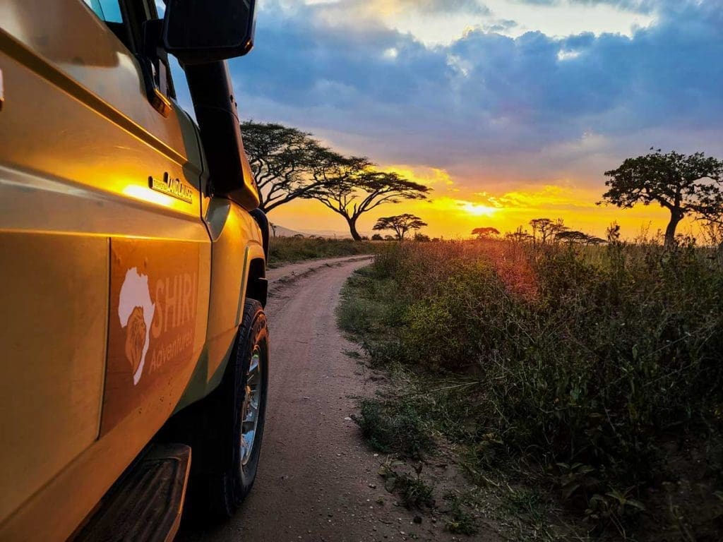 6 Day Mid Range Safari