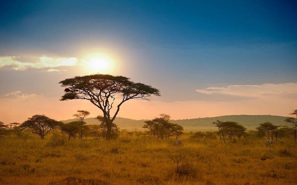 Best Tanzania Safari