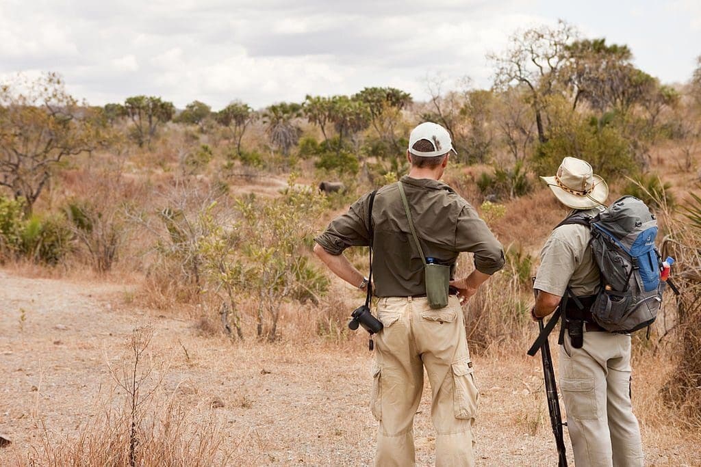 Safari in Tanzania