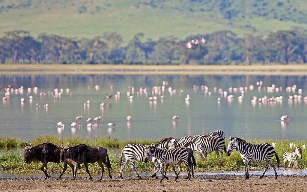 Ngorongoro Crater