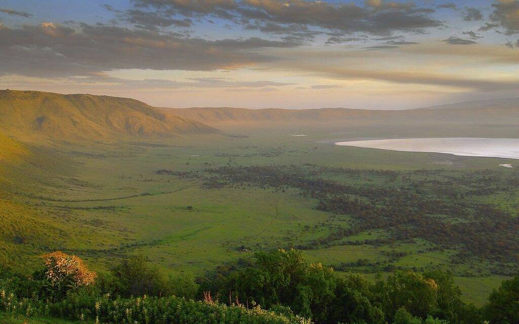 Ngorongoro Crater Safari: An Unforgettable Wildlife Experience