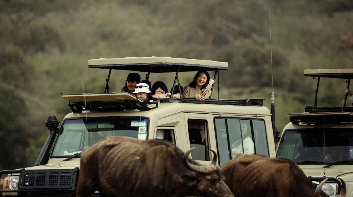 Tanzania Safari Package