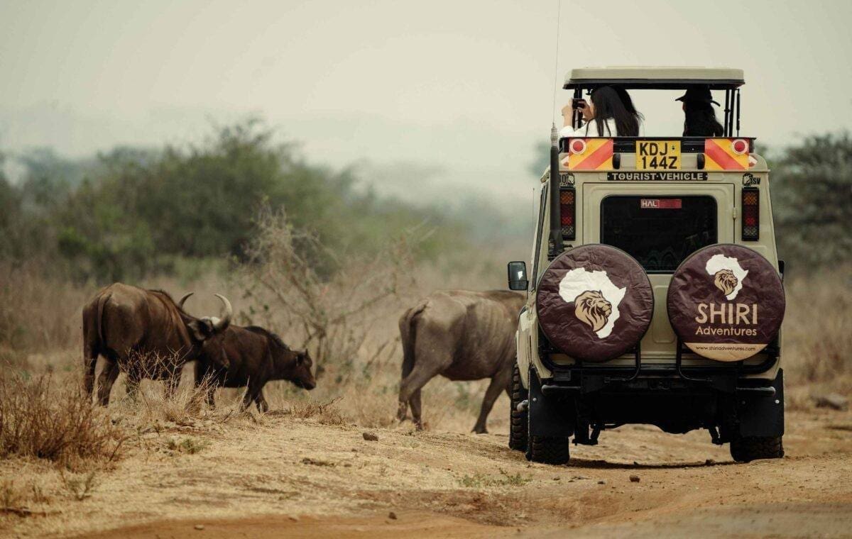 masai mara