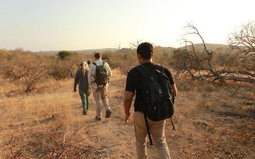 Experience the Thrill of a Lifetime with Tanzania Walking Safari