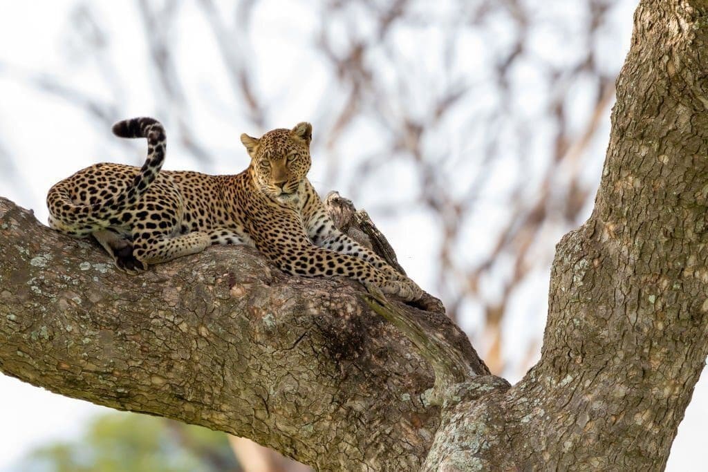 Serengeti National Park