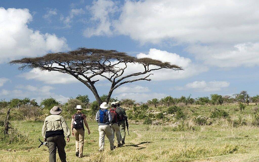 Tanzania Walking Safari