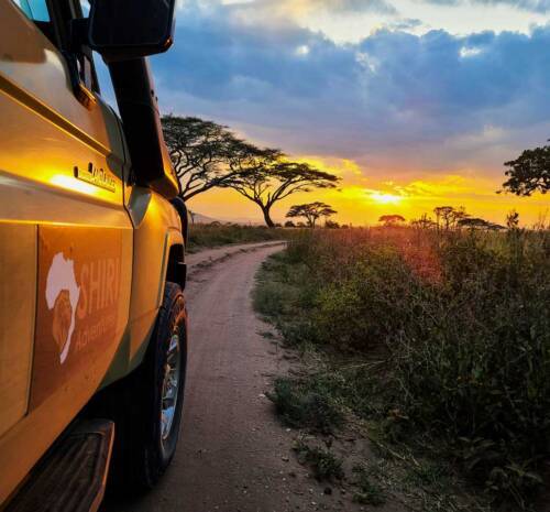 How to Pay and Book a Safari or Kilimanjaro Trek