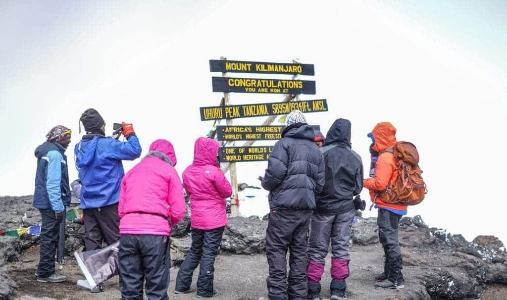 Kilimanjaro Success Rate