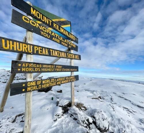 Kilimanjaro Success Rate