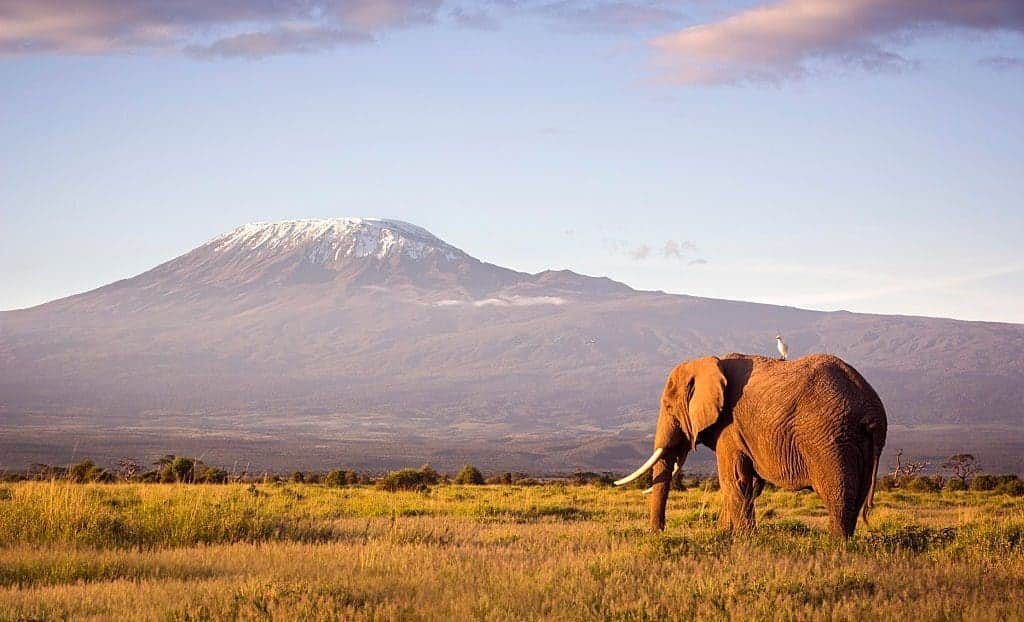 Kilimanjaro interesting facts