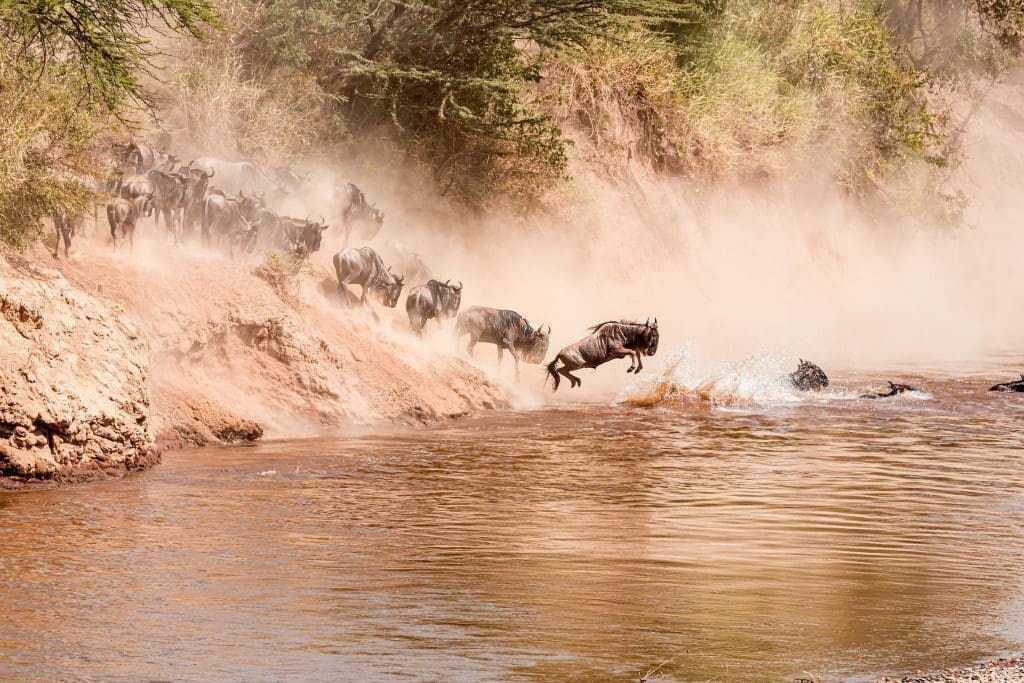 best time visit serengeti