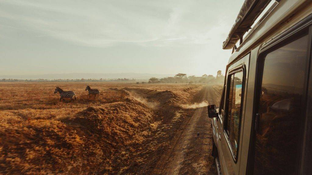 10-Day Kenya and Tanzania Combo Safaris