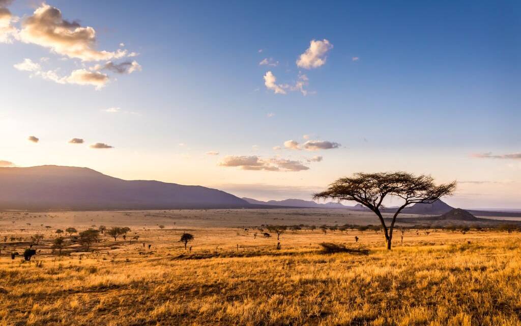 Essential Tanzania Safari FAQ: Your Complete Guide