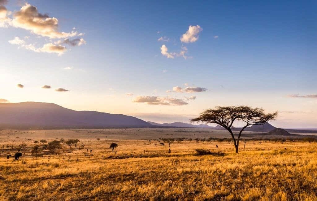 Tanzania Safari FAQ