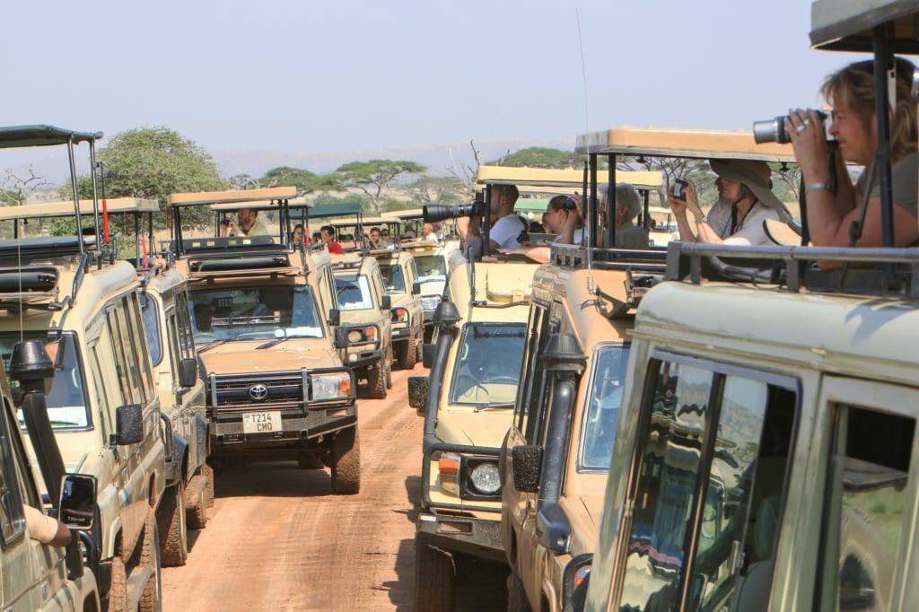 Tanzania family safari