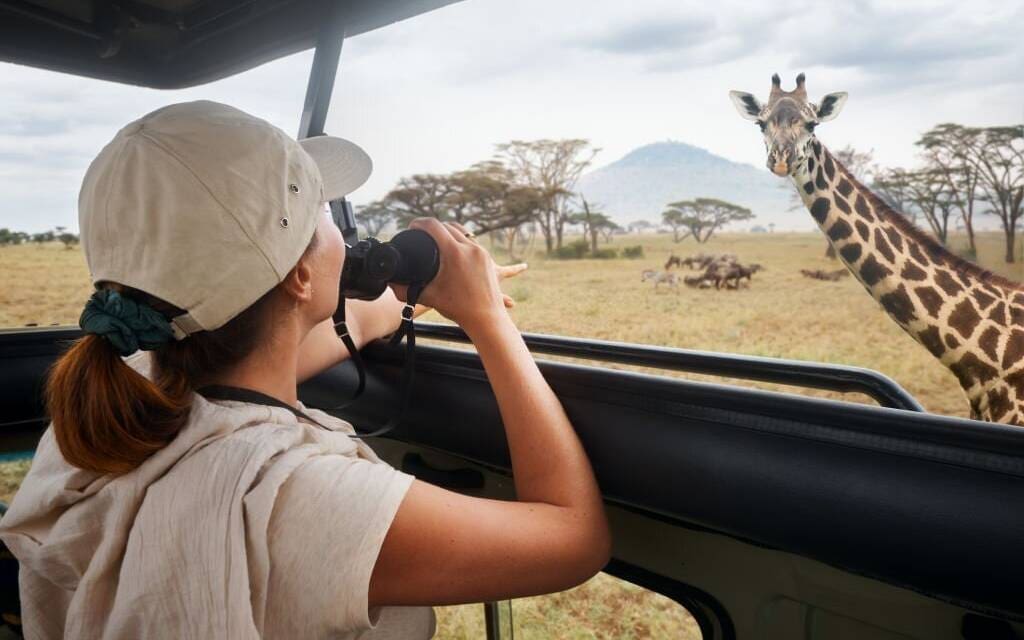 Tanzania safari itineraries