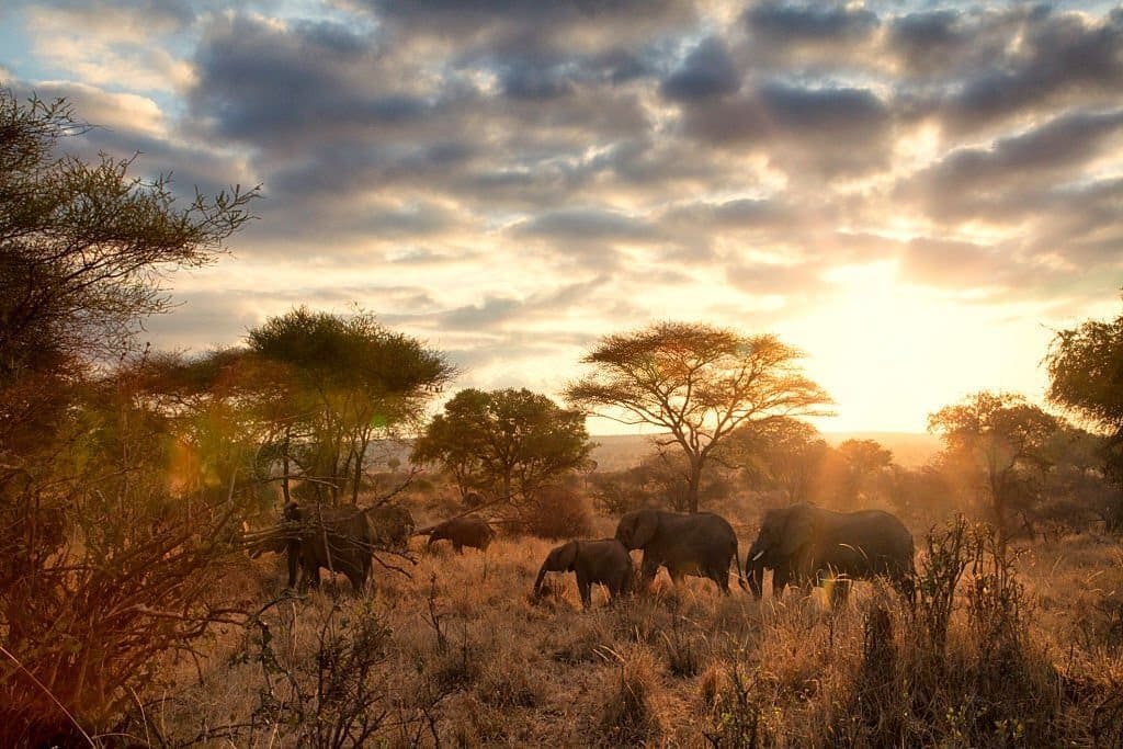 Tanzania safari itineraries