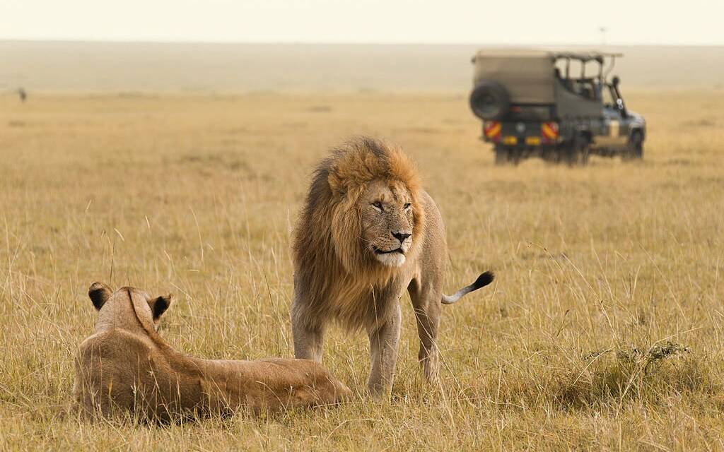 Best time for safari in Kenya