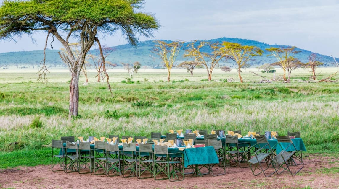 Tanzania Safari Lodge