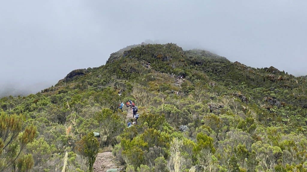 Kilimanjaro Safety