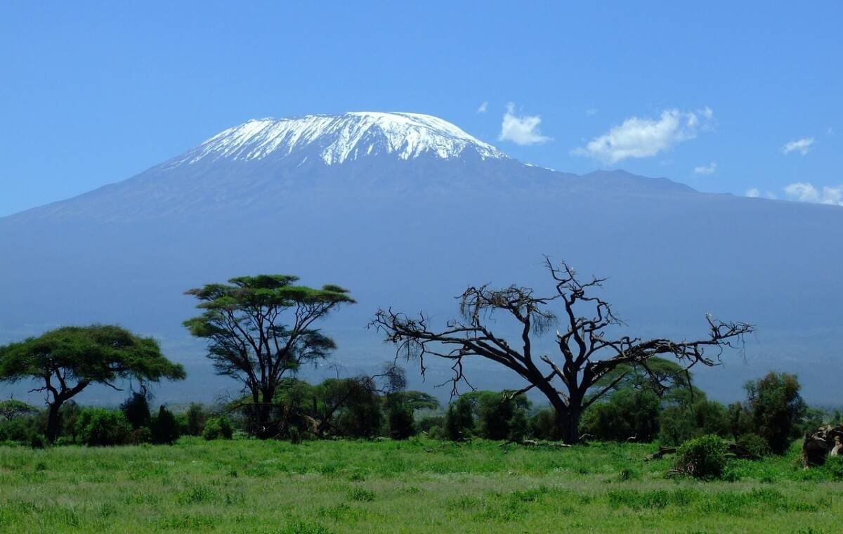 Food on Mount Kilimanjaro