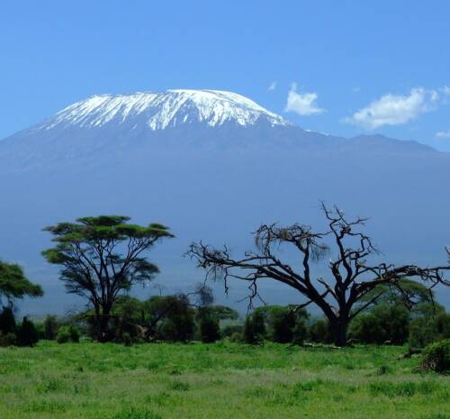 Food on Mount Kilimanjaro