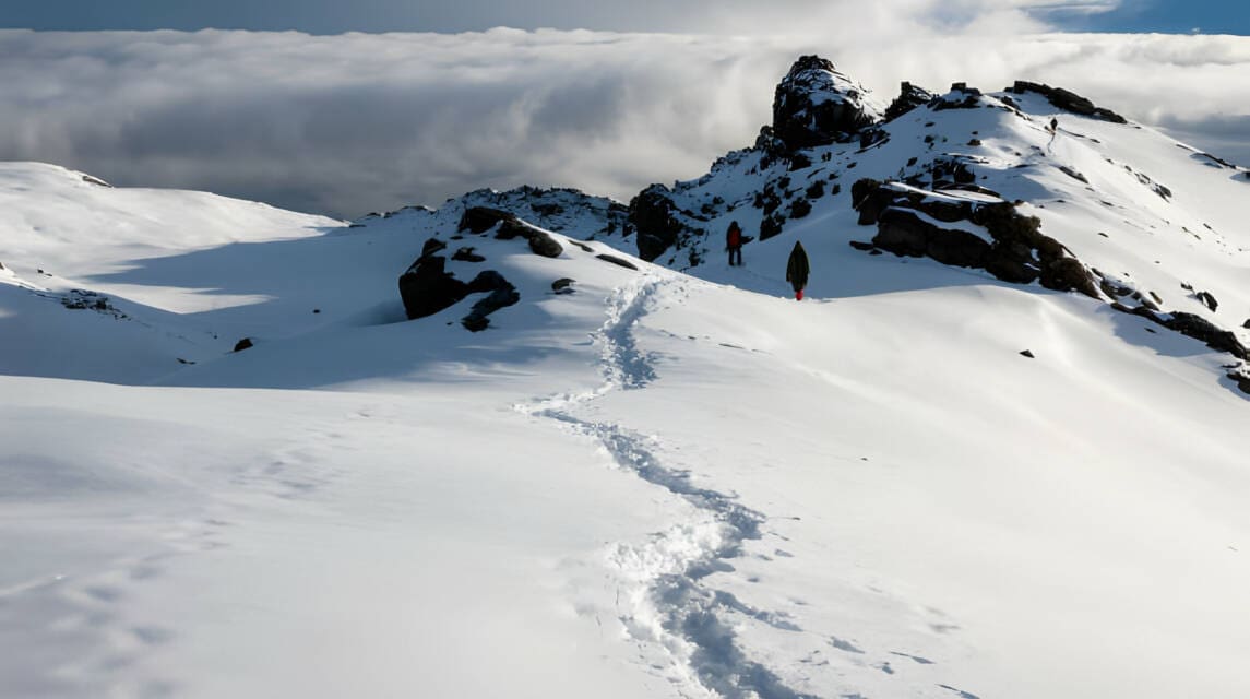 Mastering Altitude: A Guide to Successful Acclimatization on Kilimanjaro