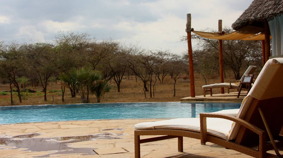 Unforgettable Experiences: Our Top Picks for Serengeti Lodges and Camps