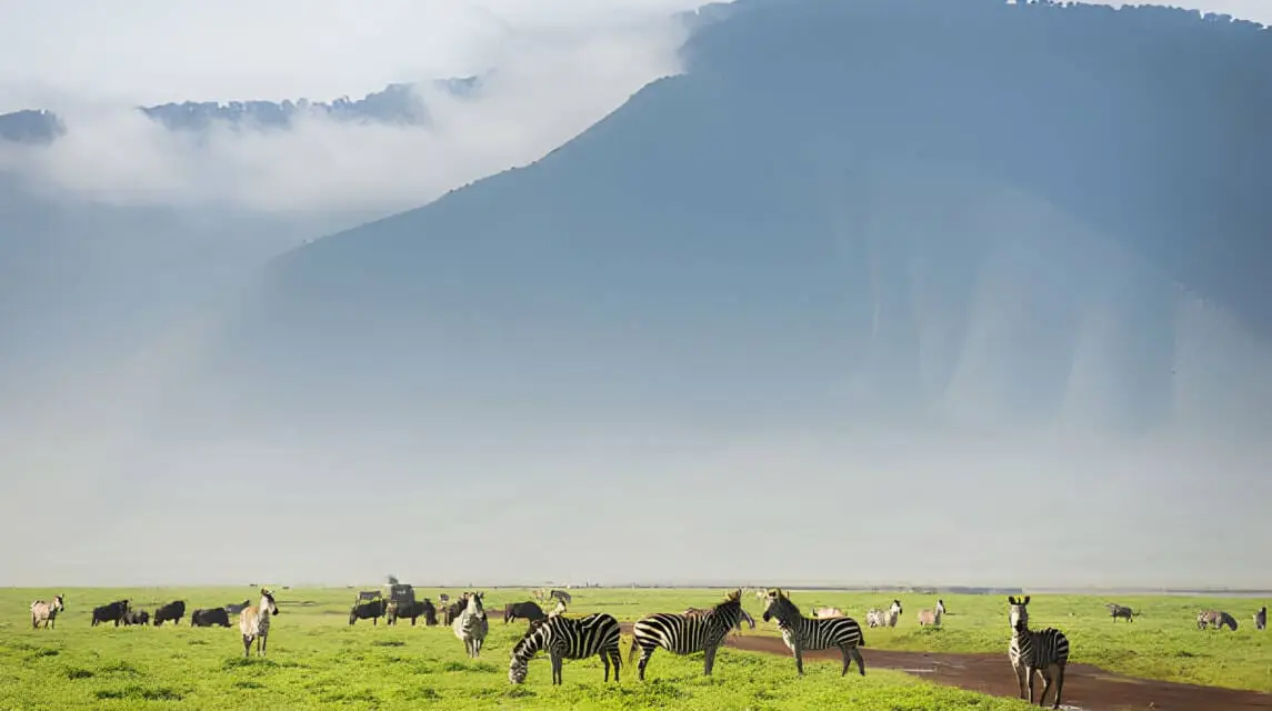 Ngorongoro crater