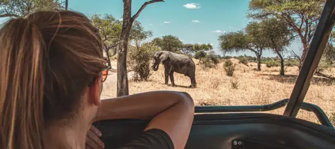 10-Day Kenya and Tanzania Combo Safaris
