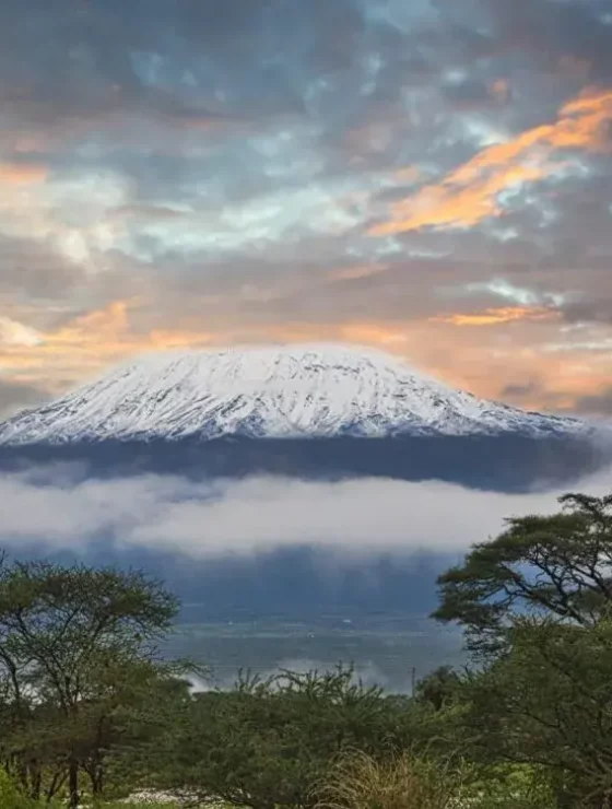 Climbing Kilimanjaro Guide