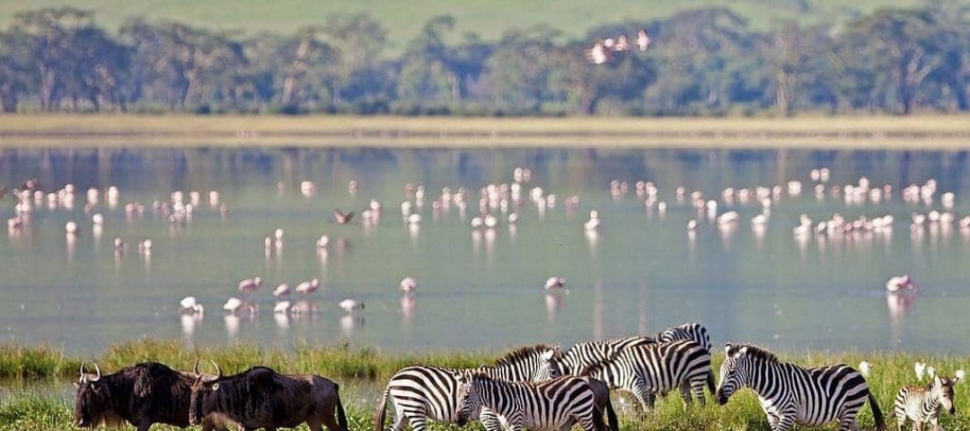 Ngorongoro Crater